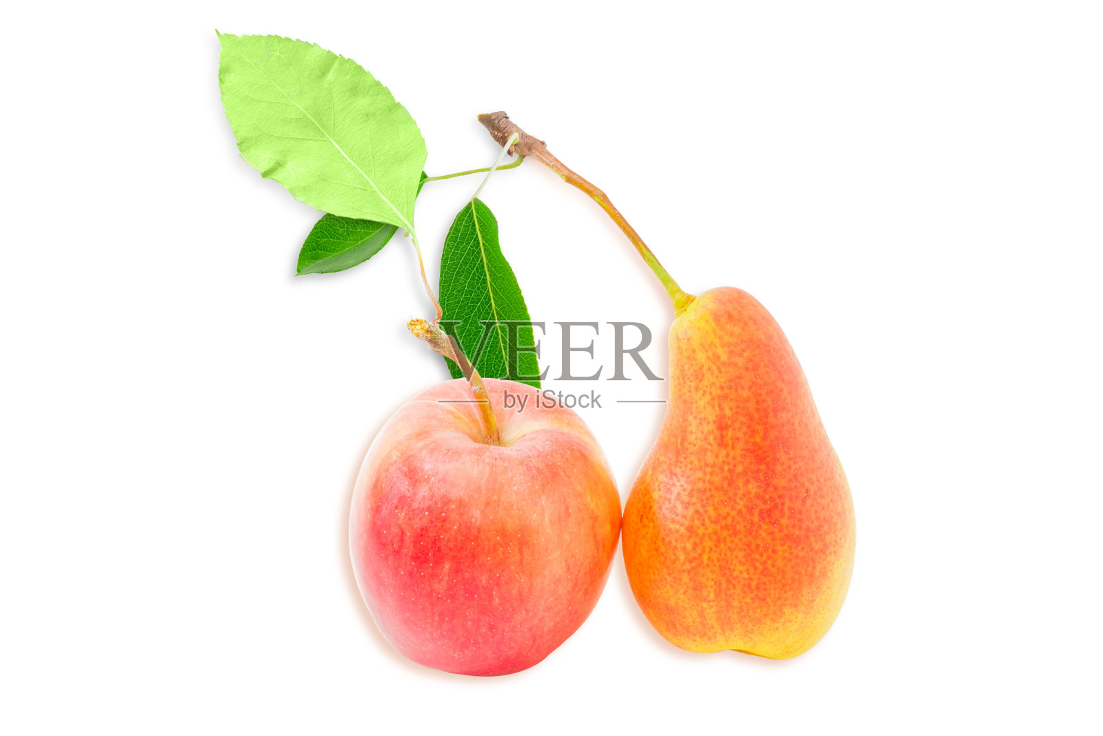 浅色背景上的欧洲梨和红苹果照片摄影图片