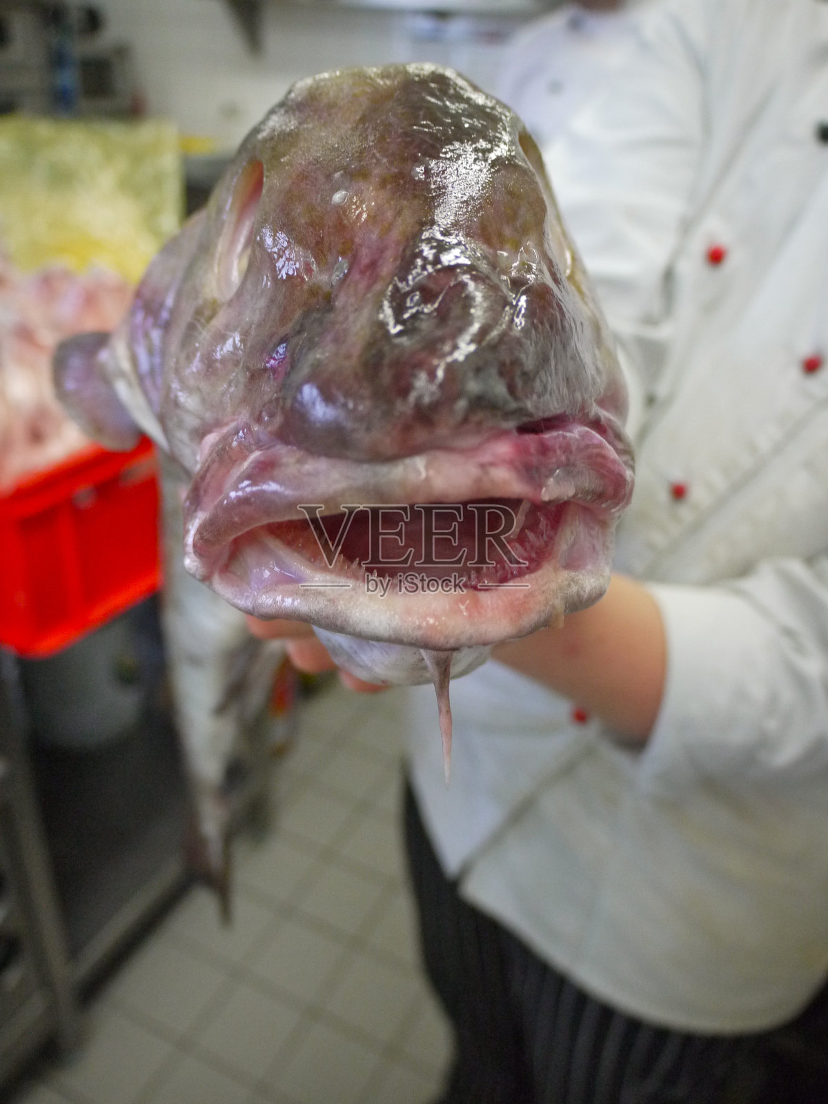 鱼贩照片摄影图片