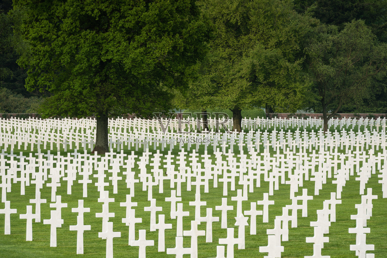 美国军事公墓照片摄影图片