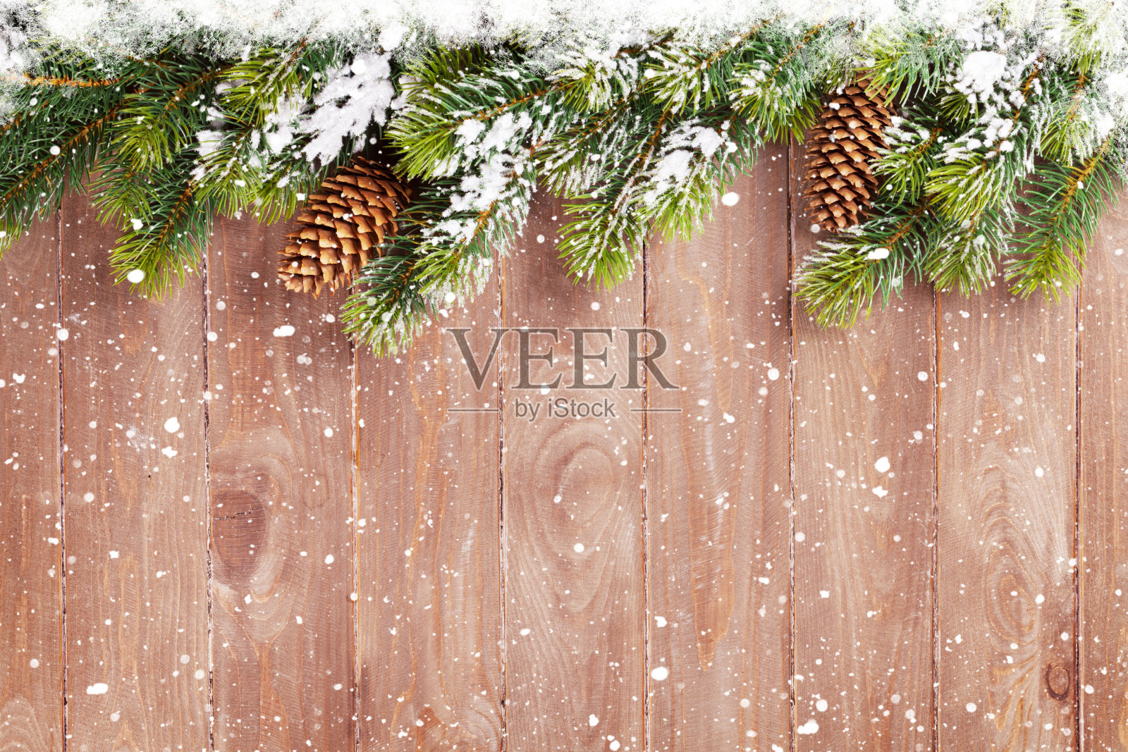 以冷杉树为圣诞背景照片摄影图片