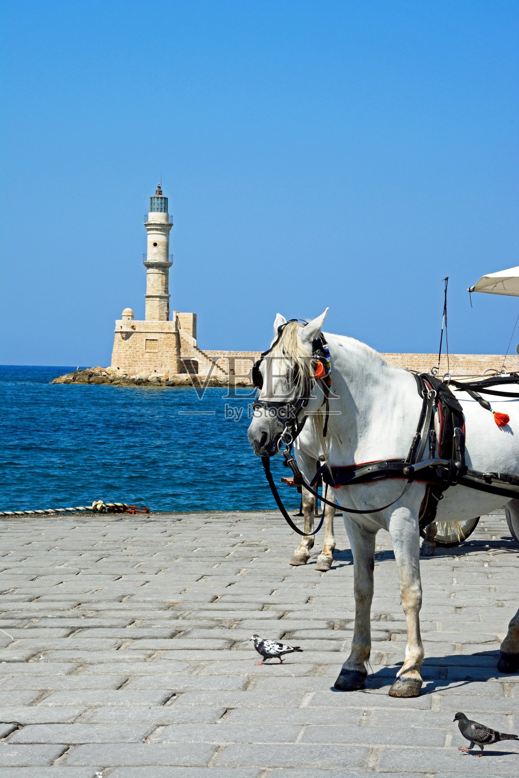 克里特岛的查尼亚灯塔和白马。照片摄影图片