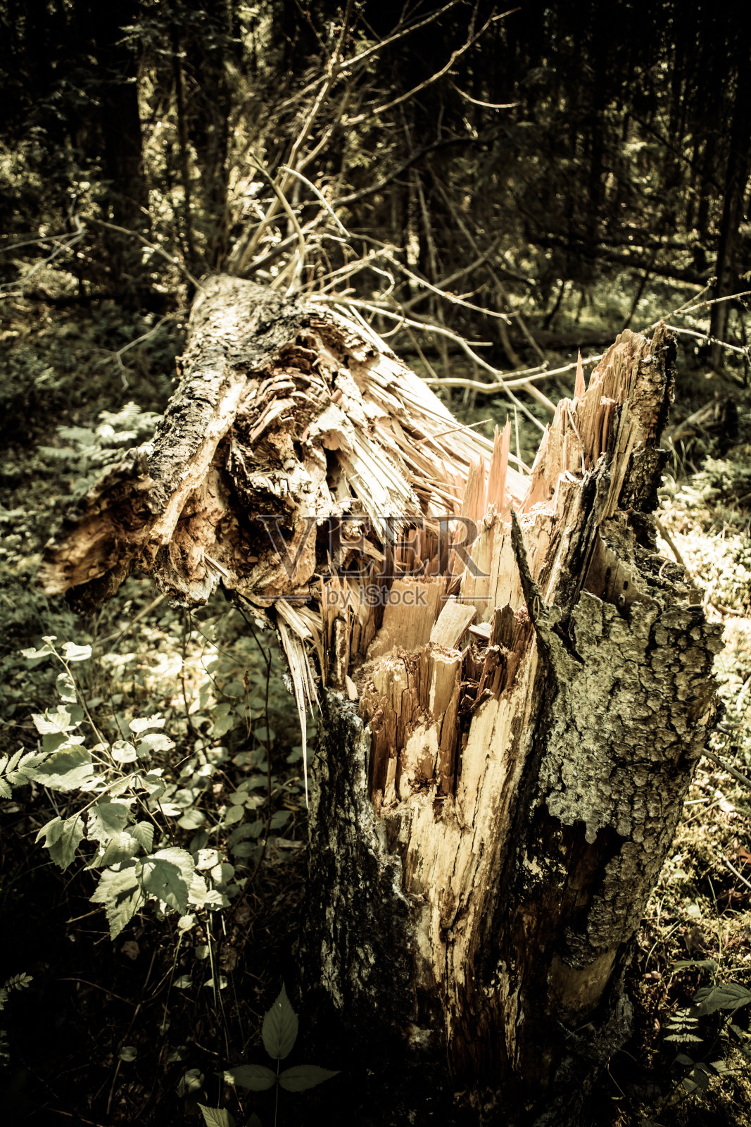 裂缝照片摄影图片