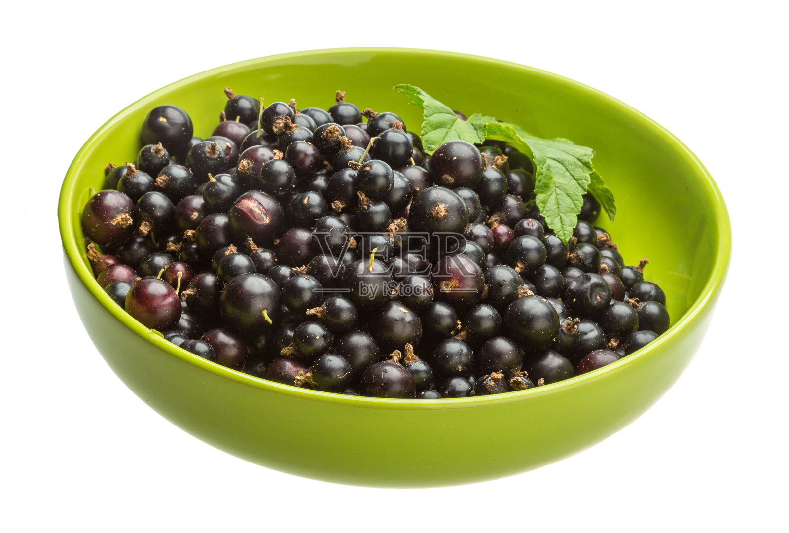 黑加仑子照片摄影图片