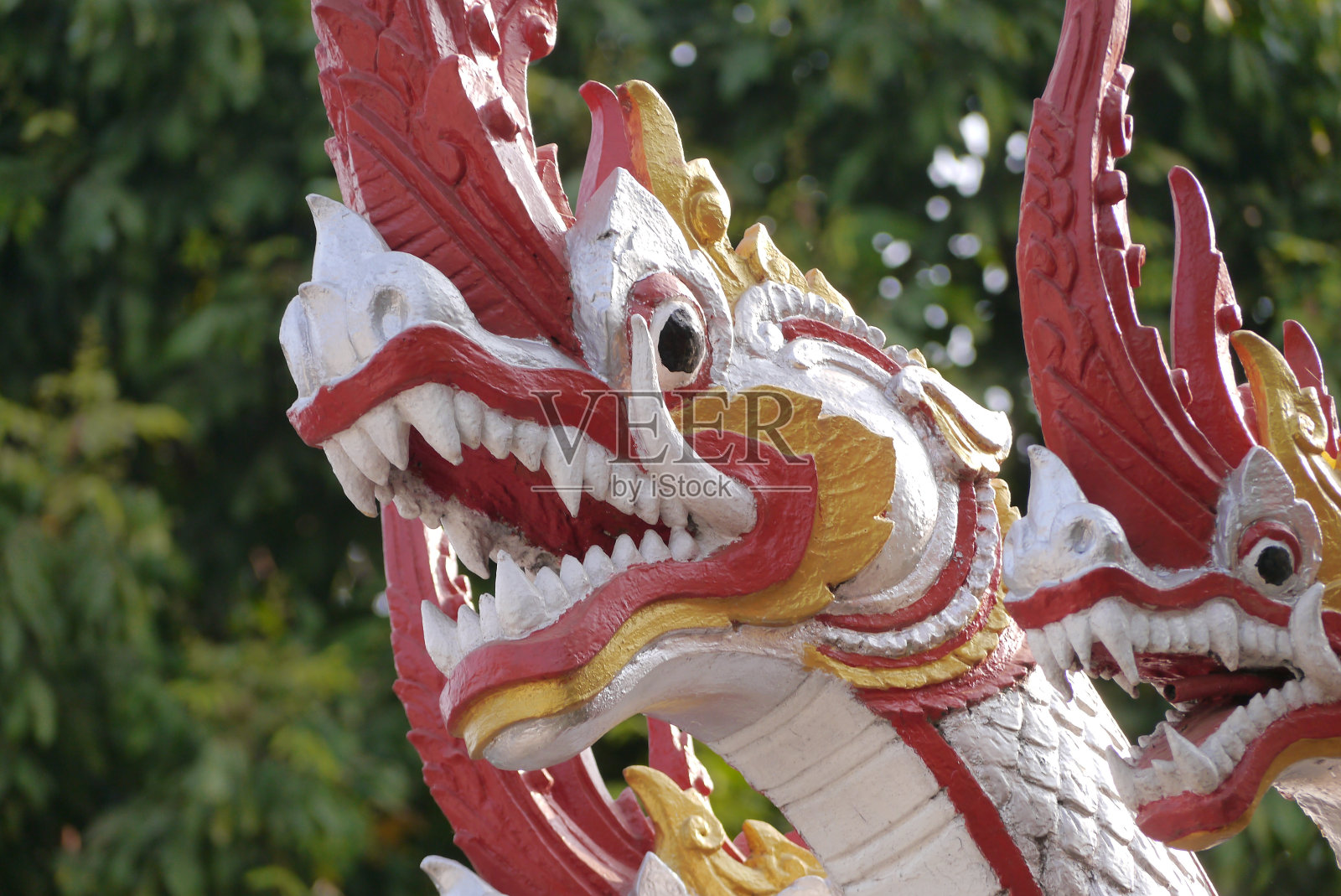 琅勃拉邦的那迦王。照片摄影图片