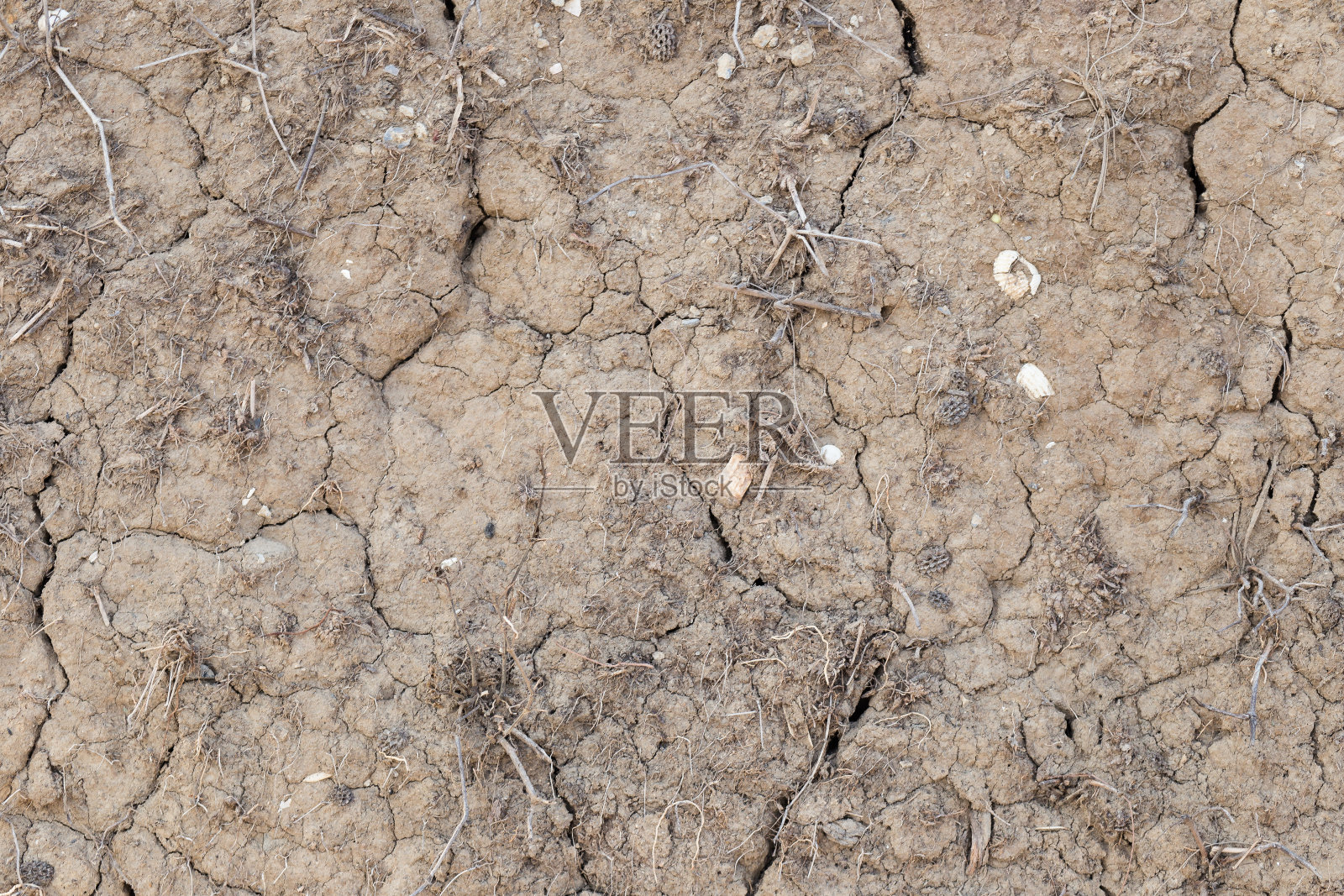 纹理干燥地面背景照片摄影图片