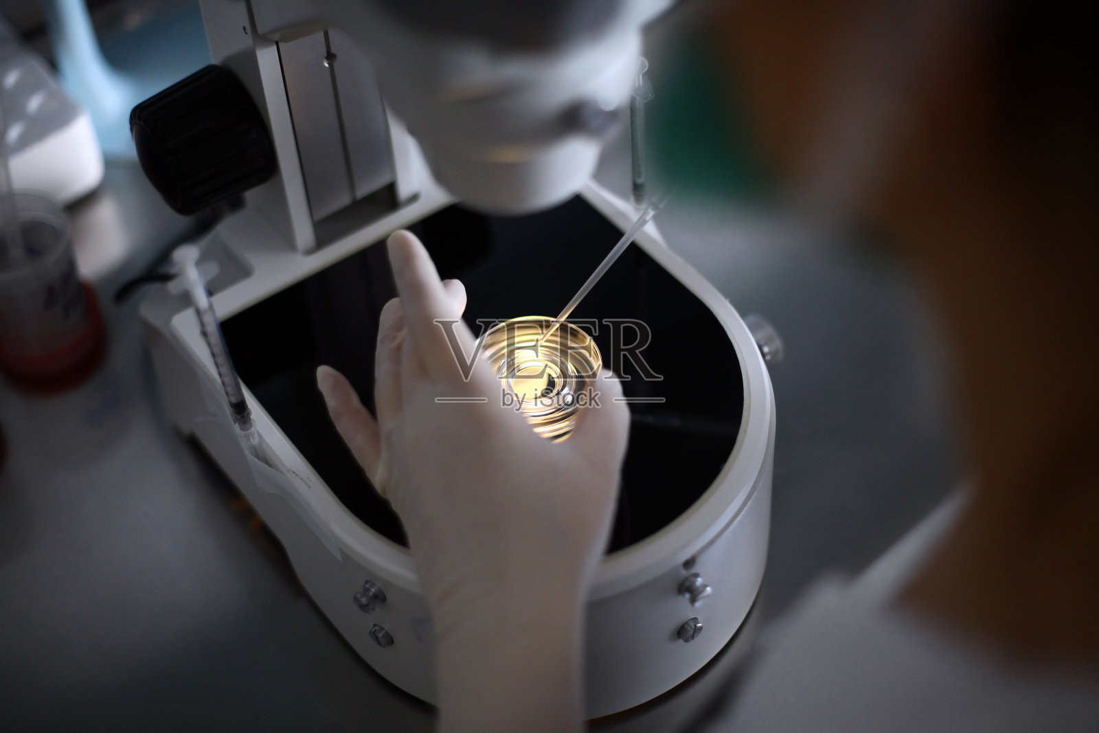 显微镜血液样本照片摄影图片