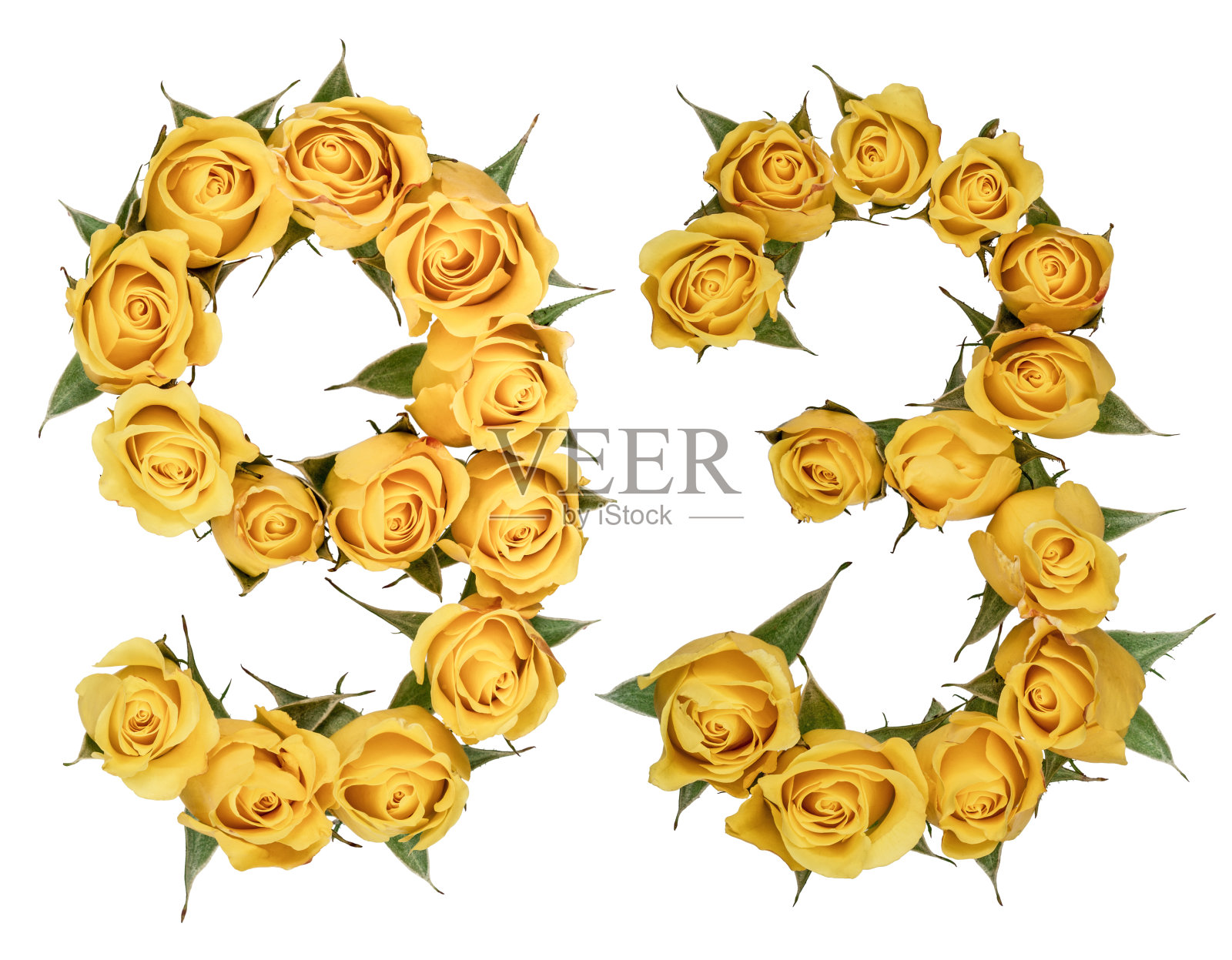 阿拉伯数字93,93，来自玫瑰的黄色花朵，孤立在白色背景上照片摄影图片