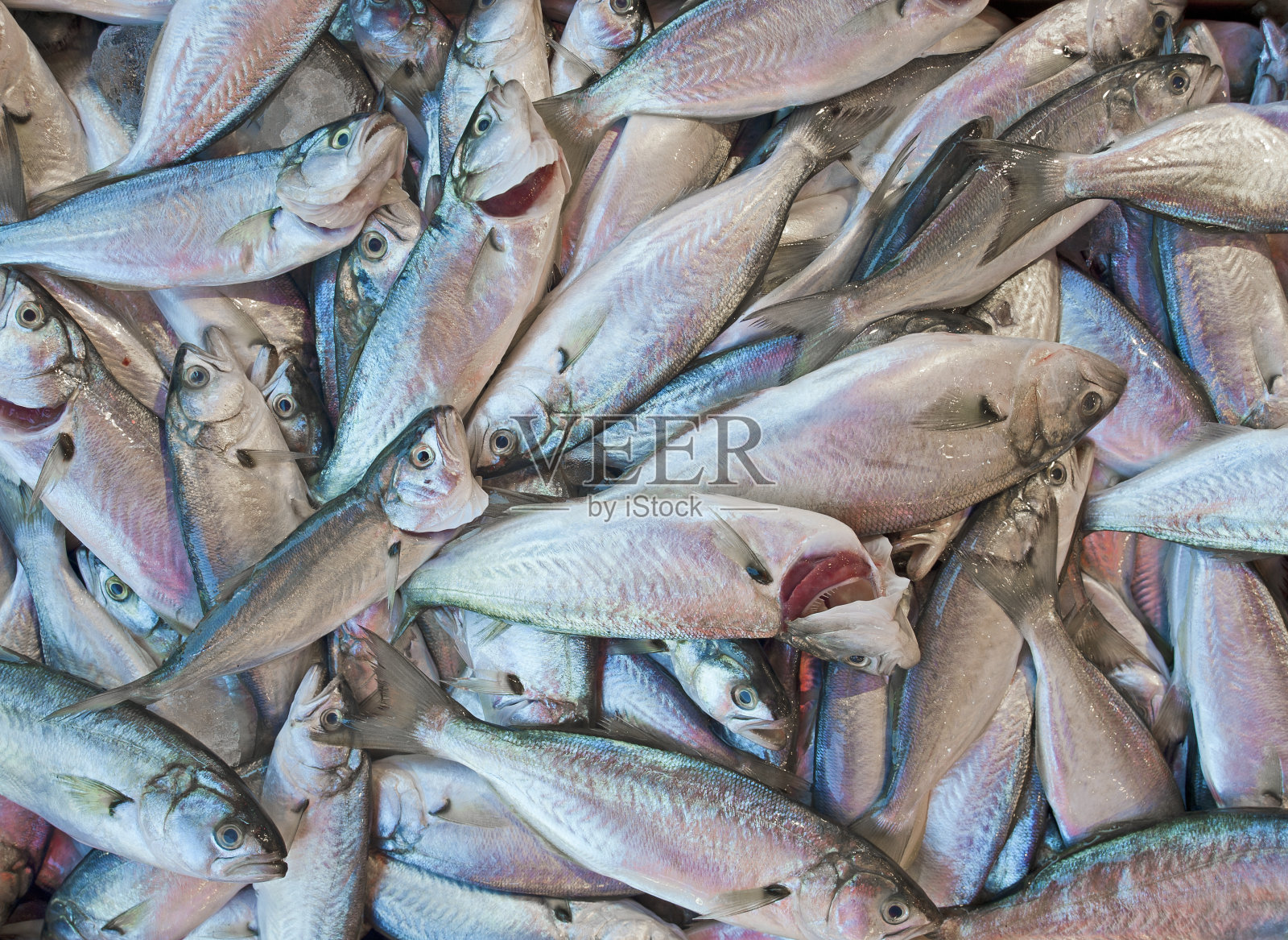 市场上的新鲜鱼照片摄影图片