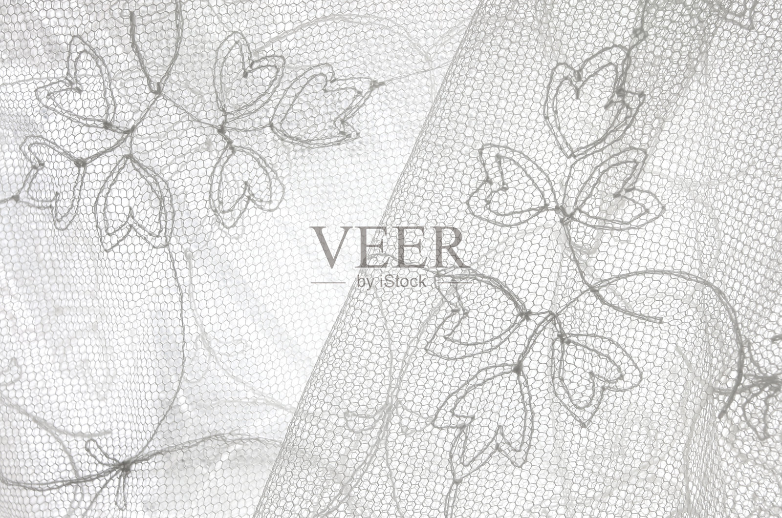 花边照片摄影图片