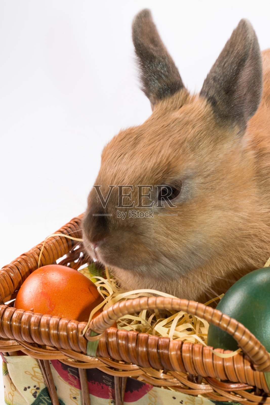 复活节兔子和装满复活节彩蛋的篮子照片摄影图片