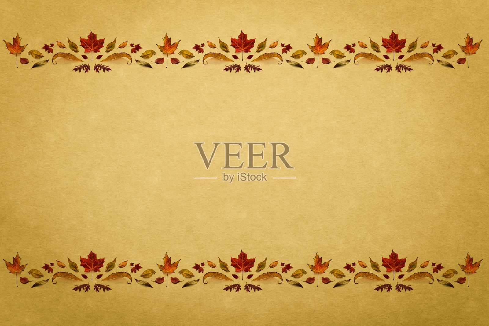 秋叶边境照片摄影图片