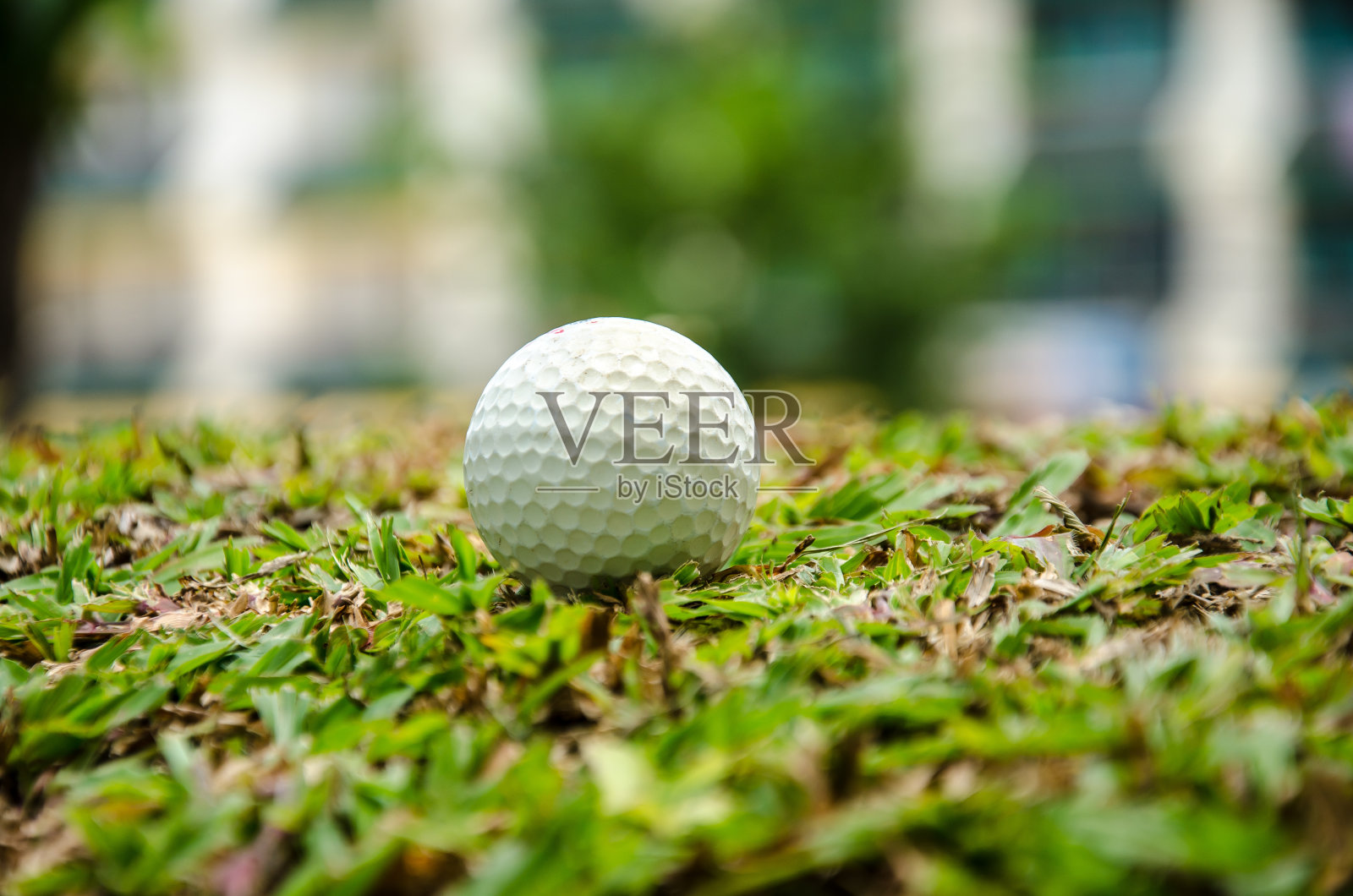 白色高尔夫球照片摄影图片