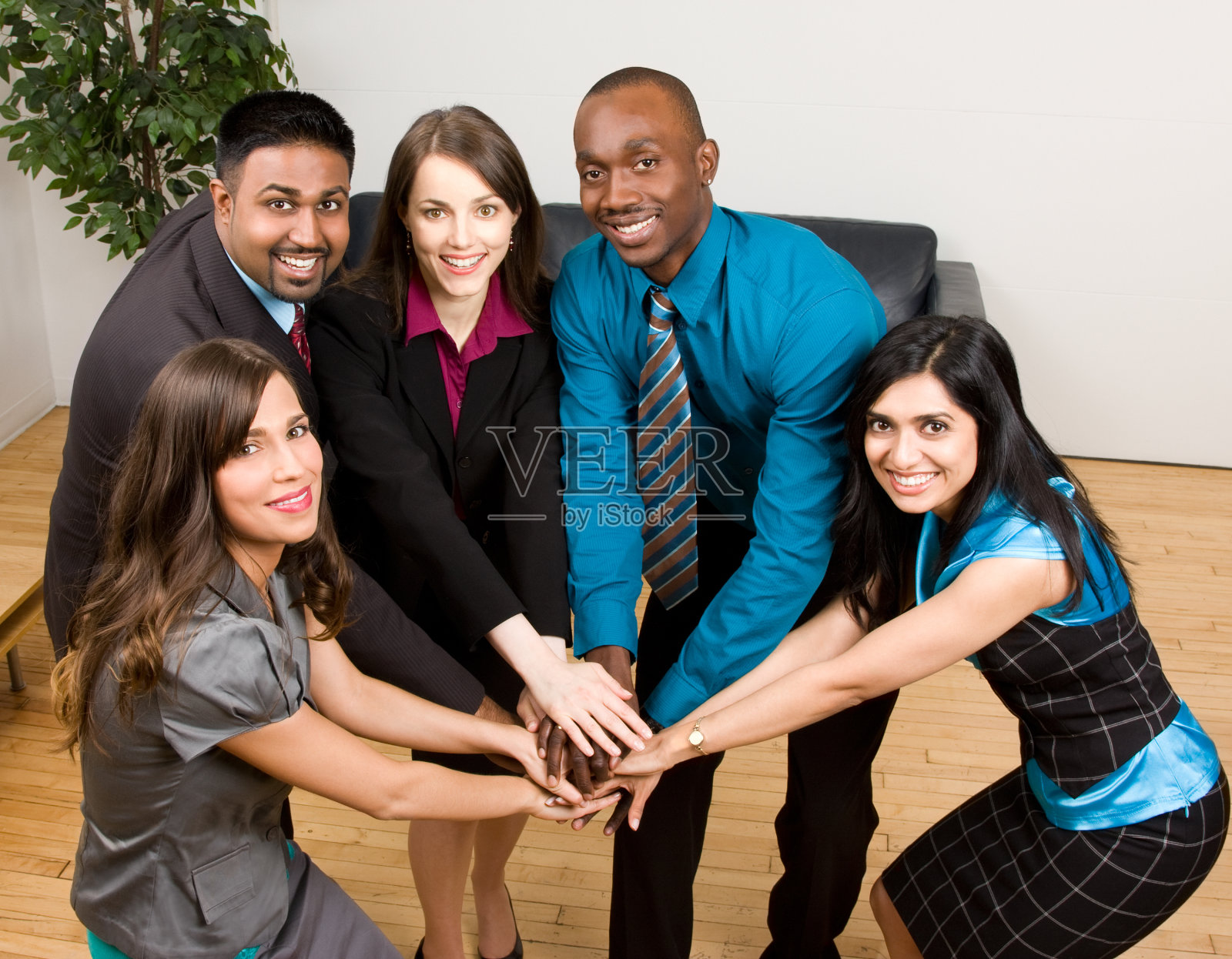 成功的商业团队照片摄影图片