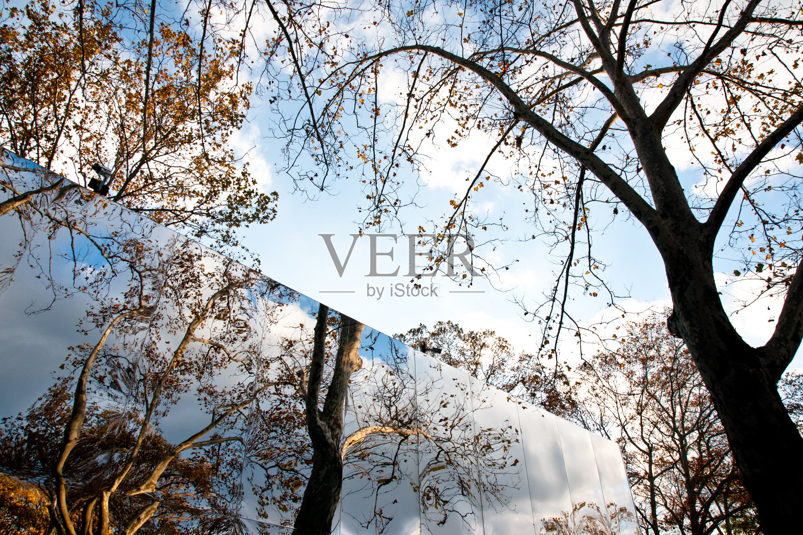 纽约中央公园:用镜子扭曲自然照片摄影图片