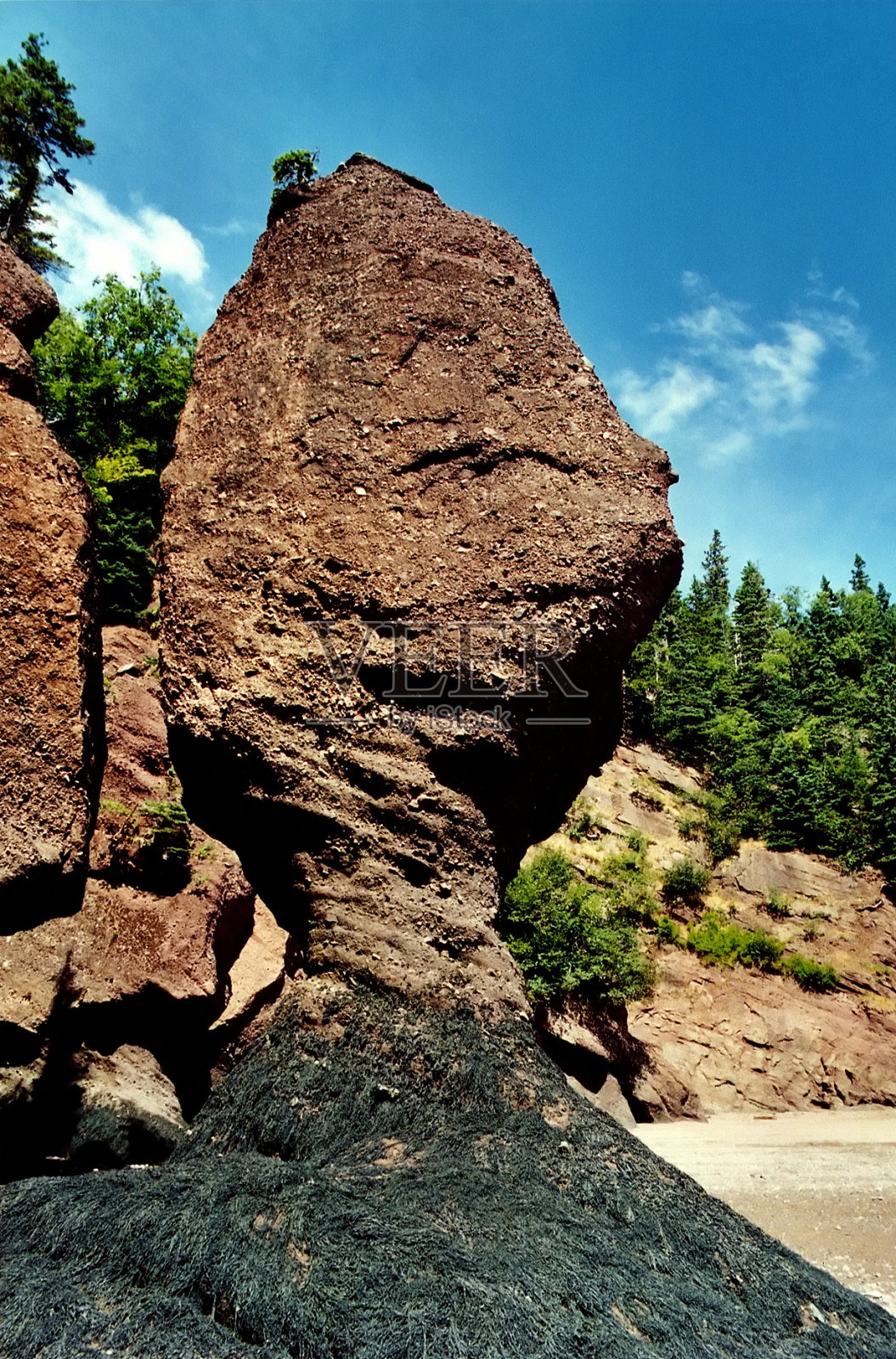 花盆的岩石照片摄影图片