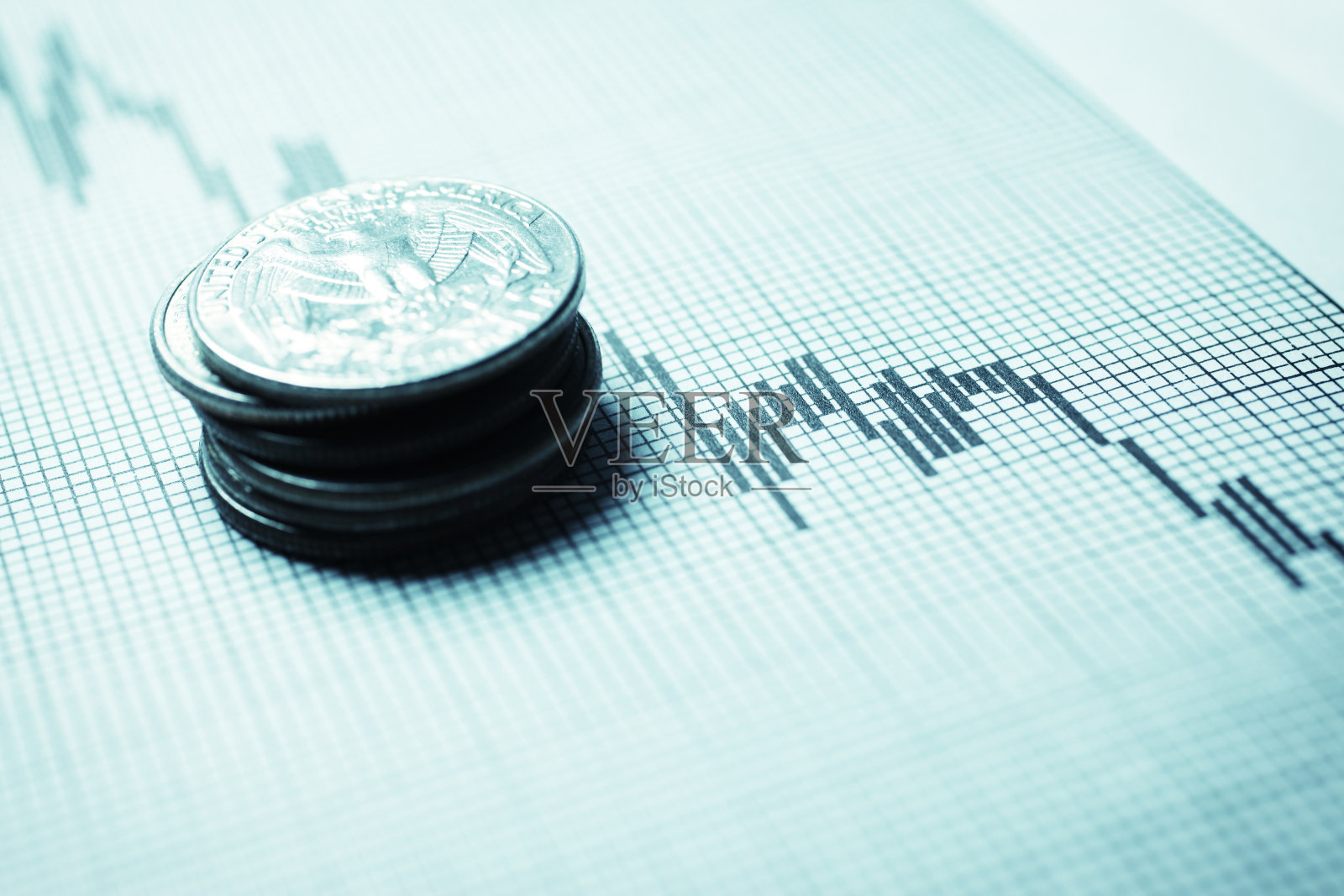 熊市照片摄影图片