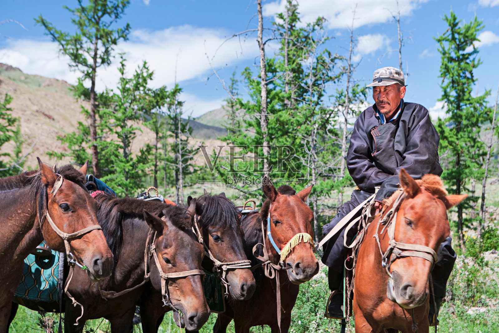 蒙古马背上的骑士照片摄影图片