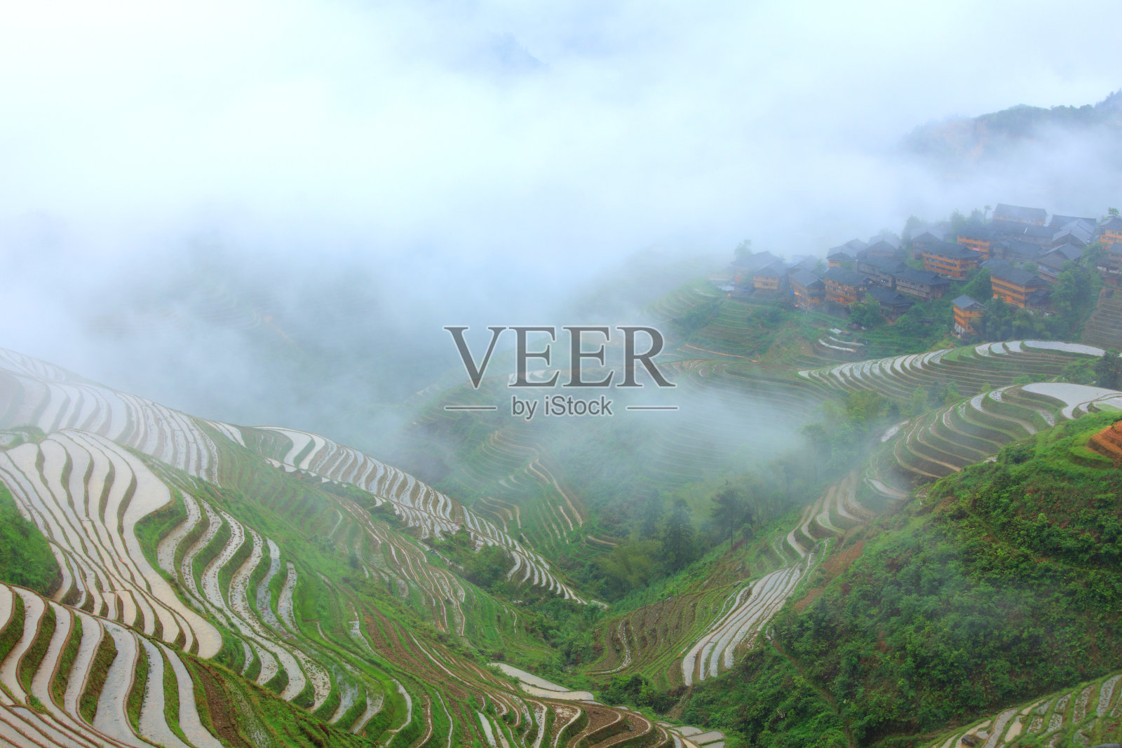 雾中的龙脊梯田照片摄影图片