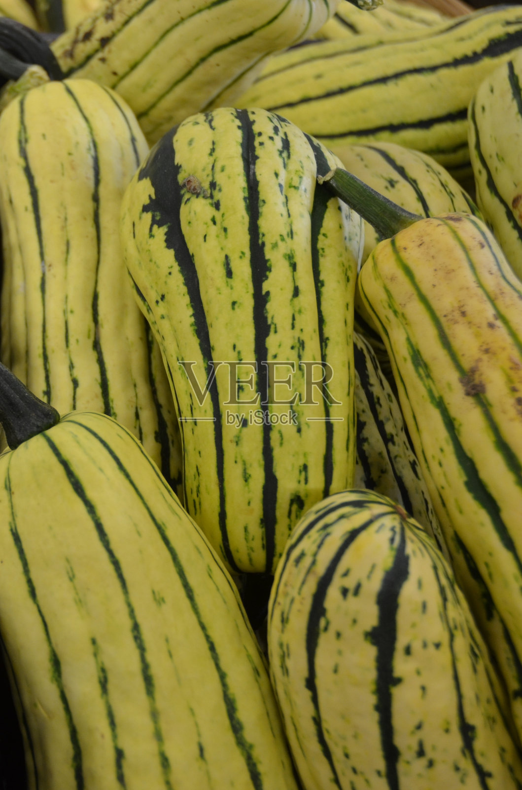 德利卡塔壁球照片摄影图片