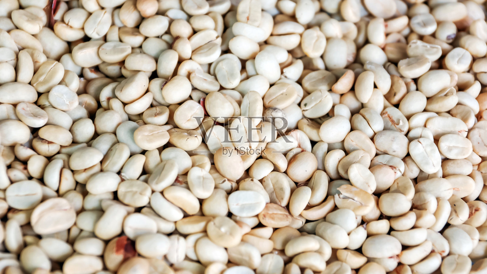 咖啡豆在太阳下晒干。照片摄影图片