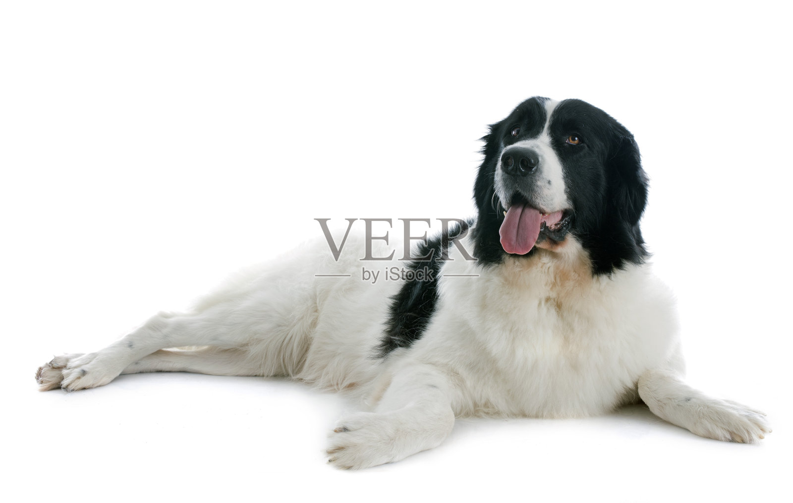 着陆器，但照片摄影图片