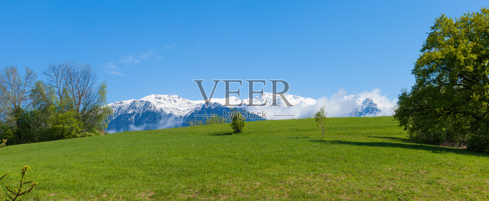 雪山和绿色草地照片摄影图片