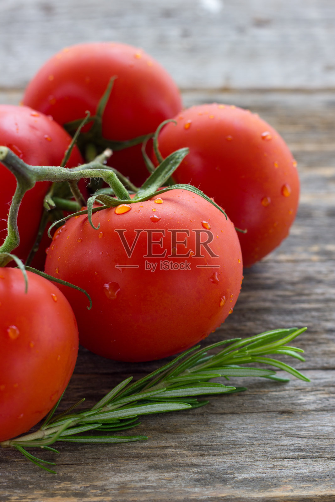 西红柿照片摄影图片