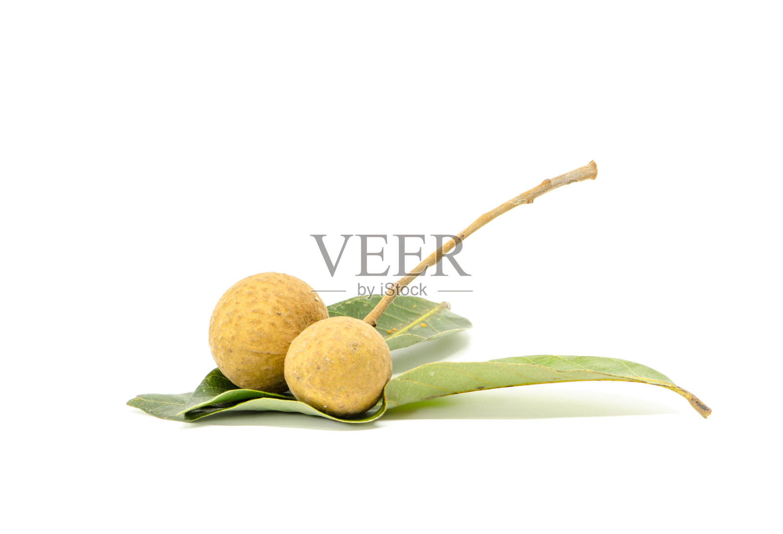 龙眼的照片摄影图片