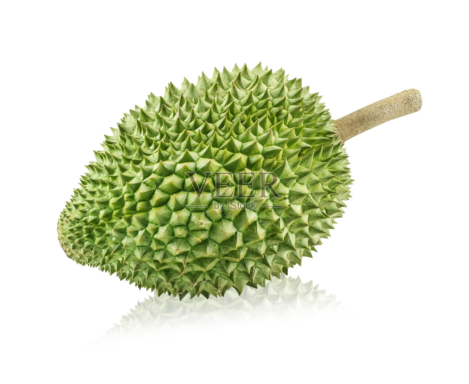水果之王，白色背景上孤立的榴莲照片摄影图片