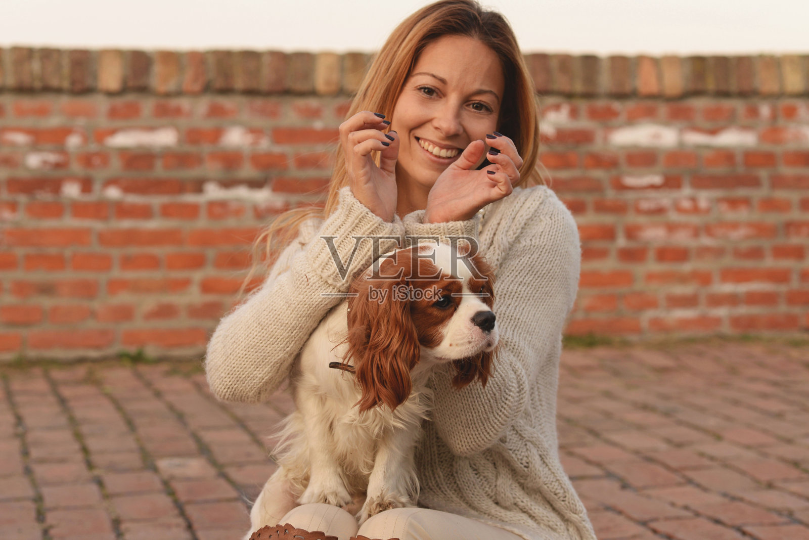 漂亮女孩对她的狗"骑士"竖起了鹿耳朵照片摄影图片