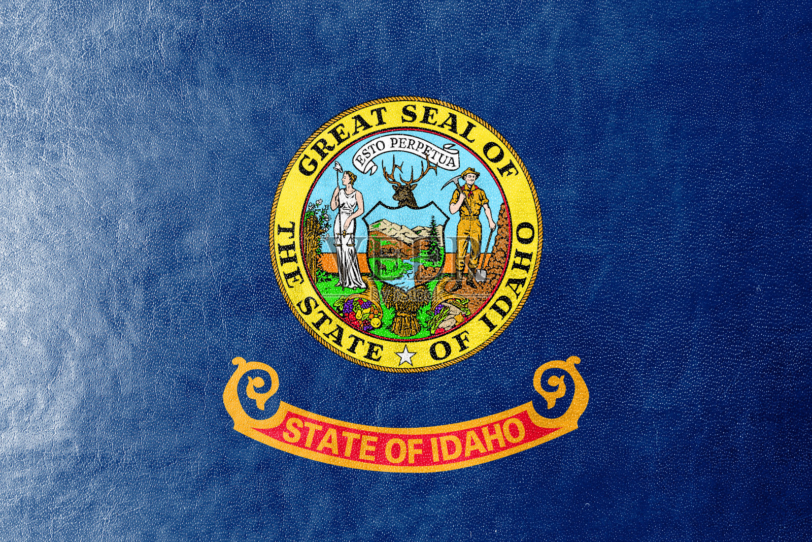 爱达荷州旗涂在皮革纹理上照片摄影图片