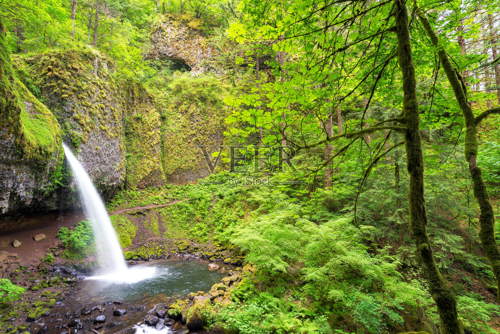 马尾瀑布照片摄影图片