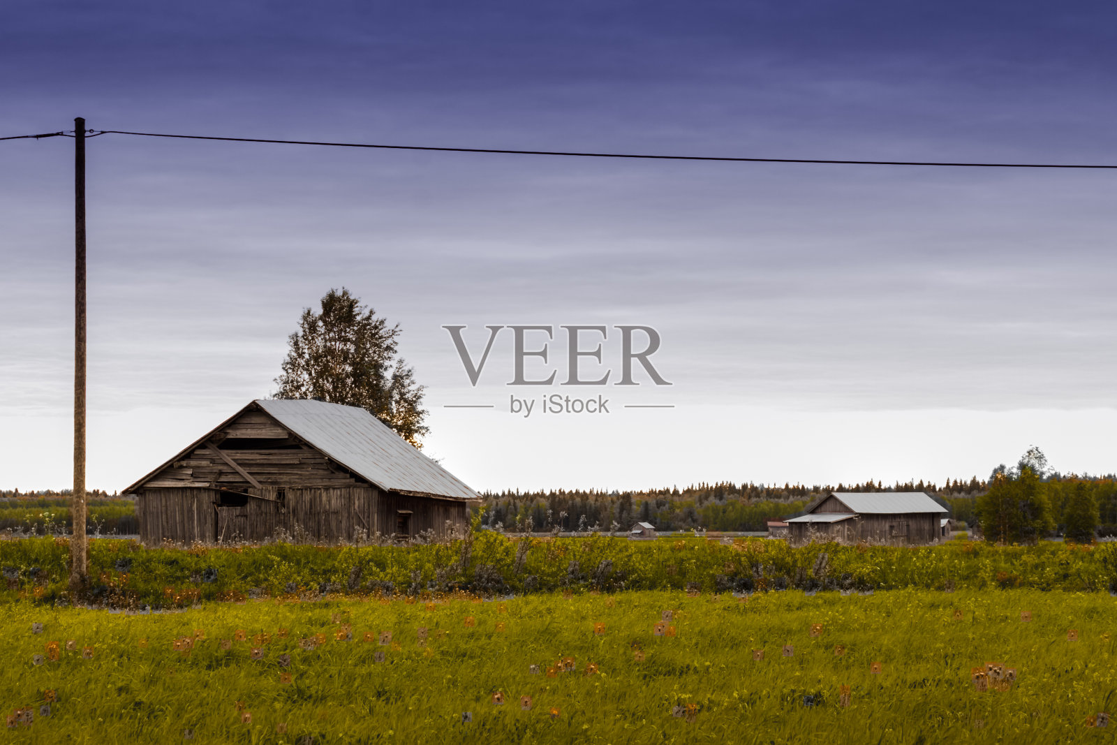 田野上的夏夜照片摄影图片