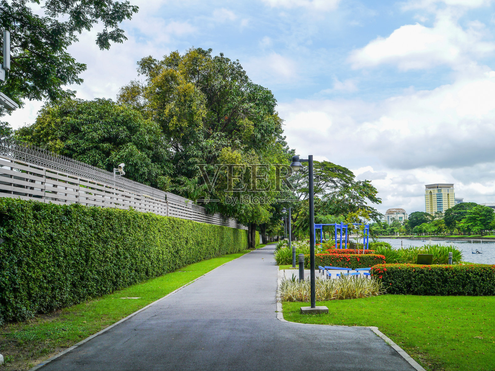 公园在夏天照片摄影图片