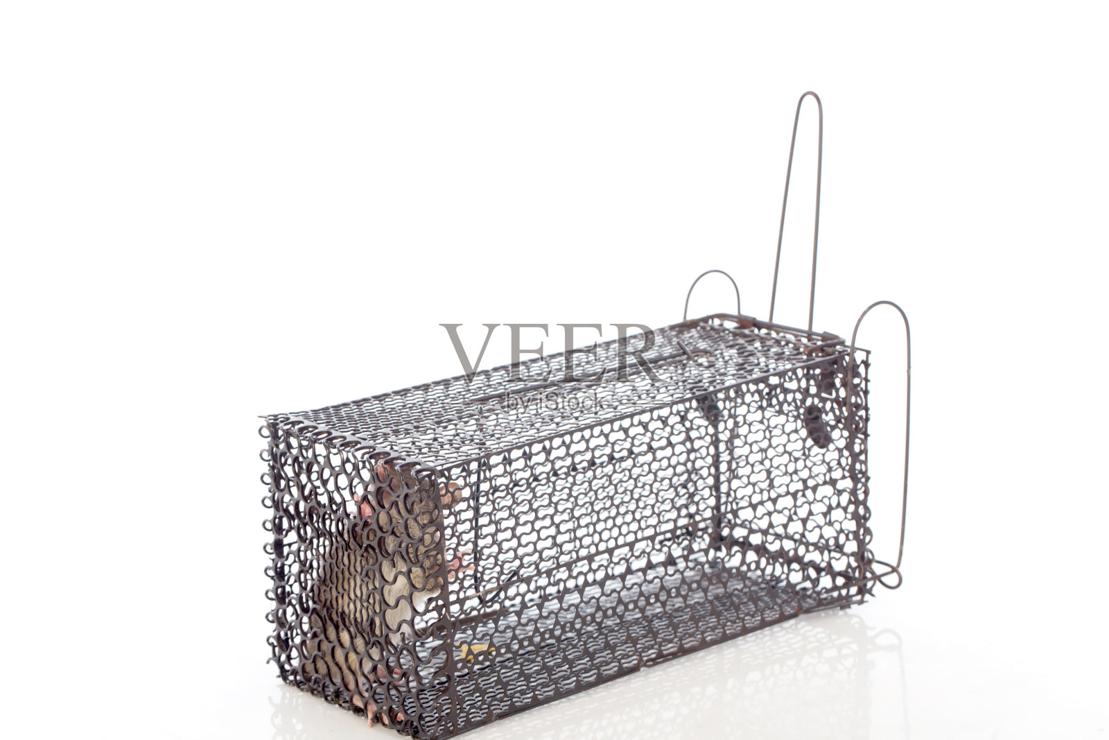 捕鼠器在白色背景的捕鼠器中照片摄影图片