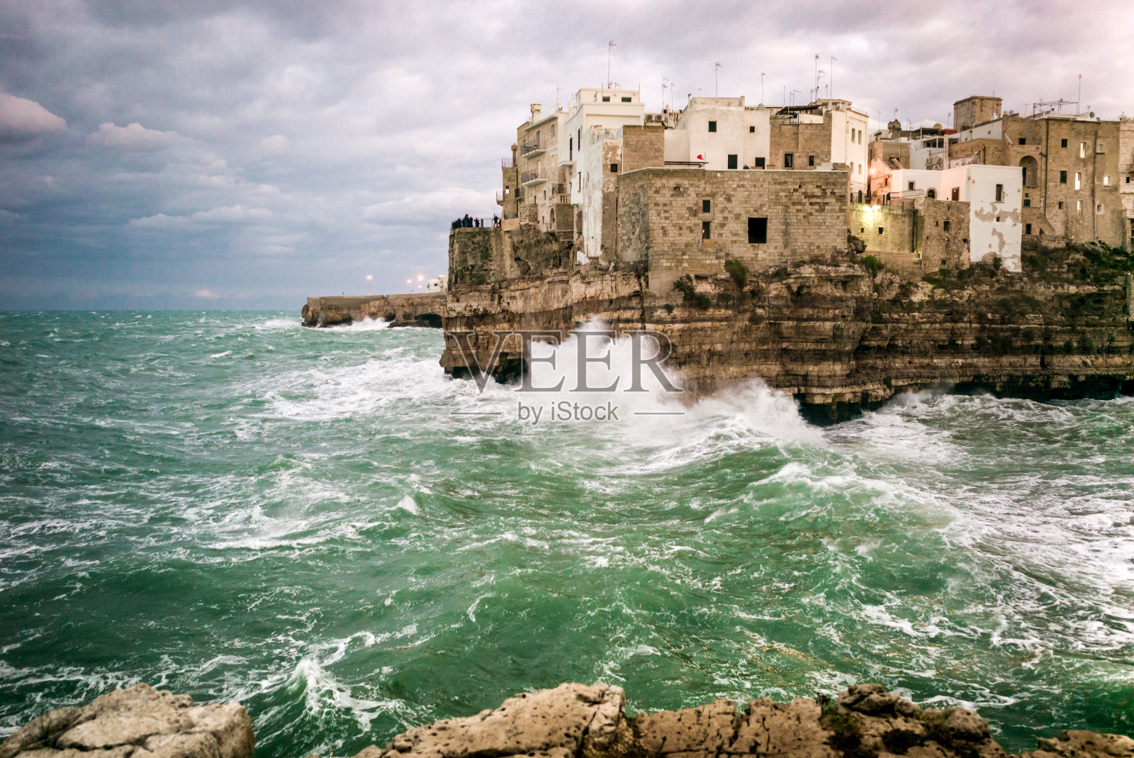 波利尼亚诺母马照片摄影图片