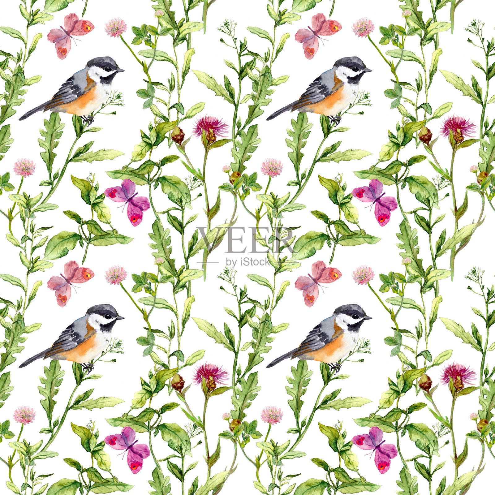 有蝴蝶和鸟的草地。无缝水彩花卉图案。插画图片素材