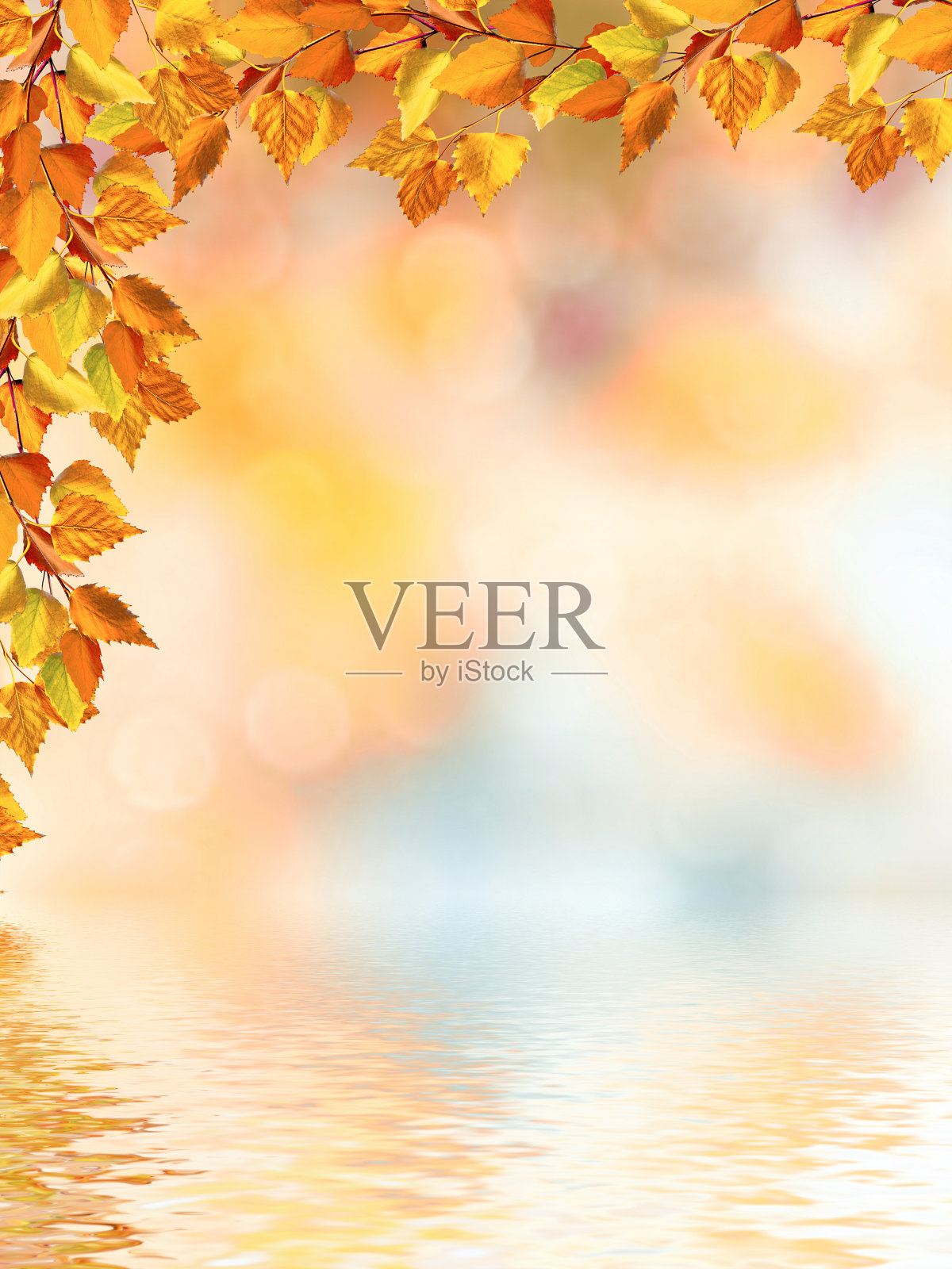 秋天的风景有鲜艳多彩的树叶。照片摄影图片