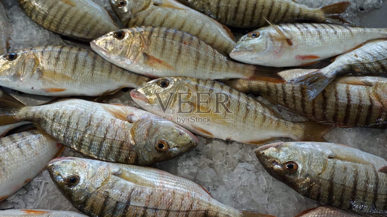 阿尔加维海岸照片摄影图片