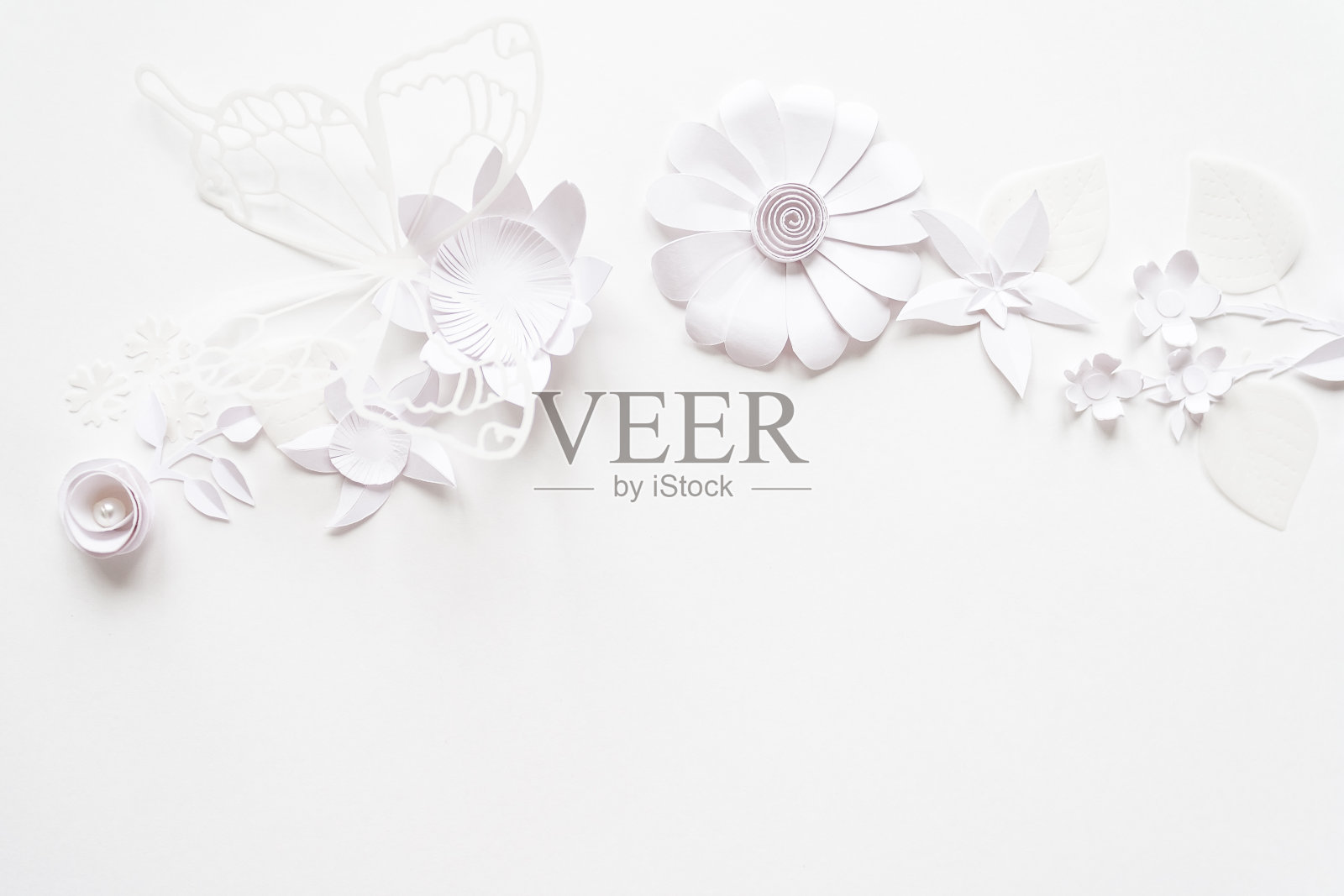 框架与白纸花照片摄影图片