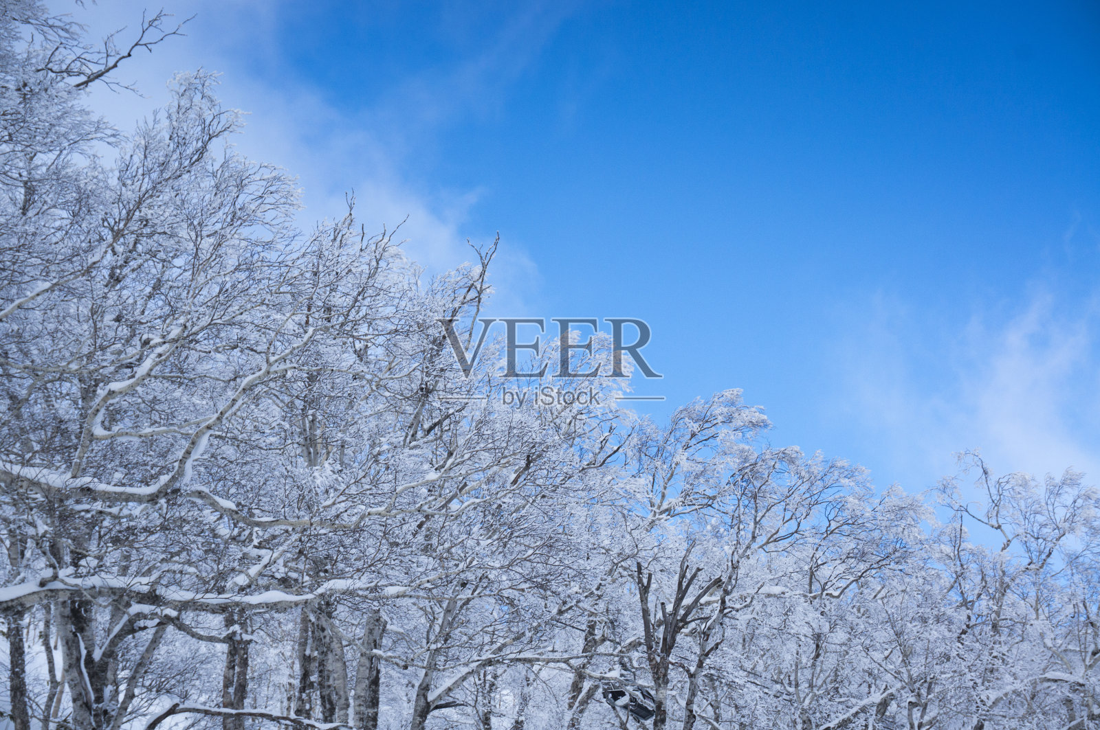 日本雾凇的景象照片摄影图片