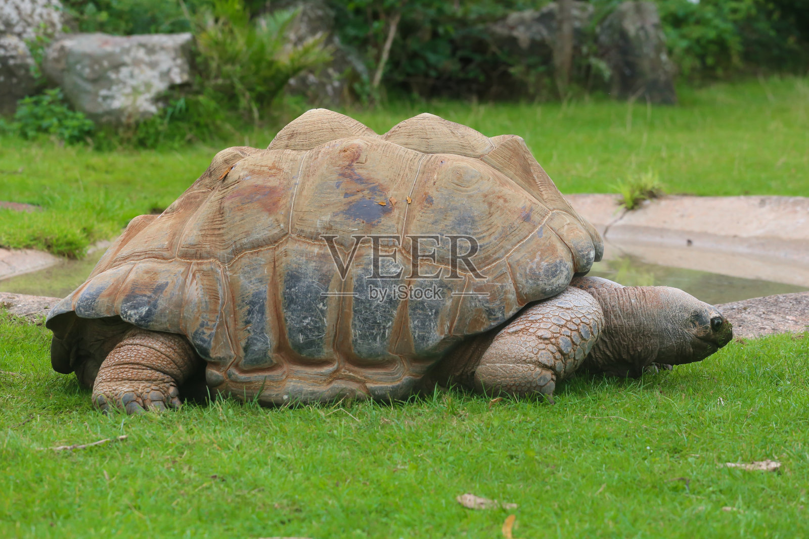 生活在慢车道上照片摄影图片
