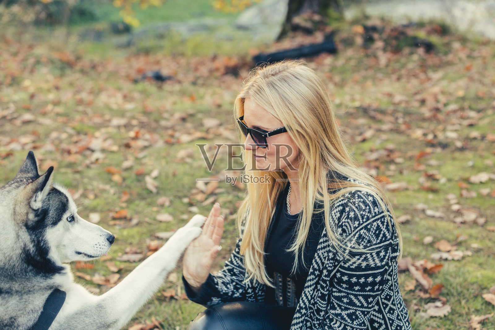 年轻女子享受时间与宠物狗照片摄影图片