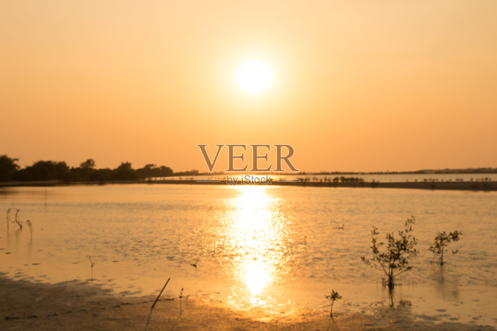 黄昏背景中的自然和阳光照片摄影图片