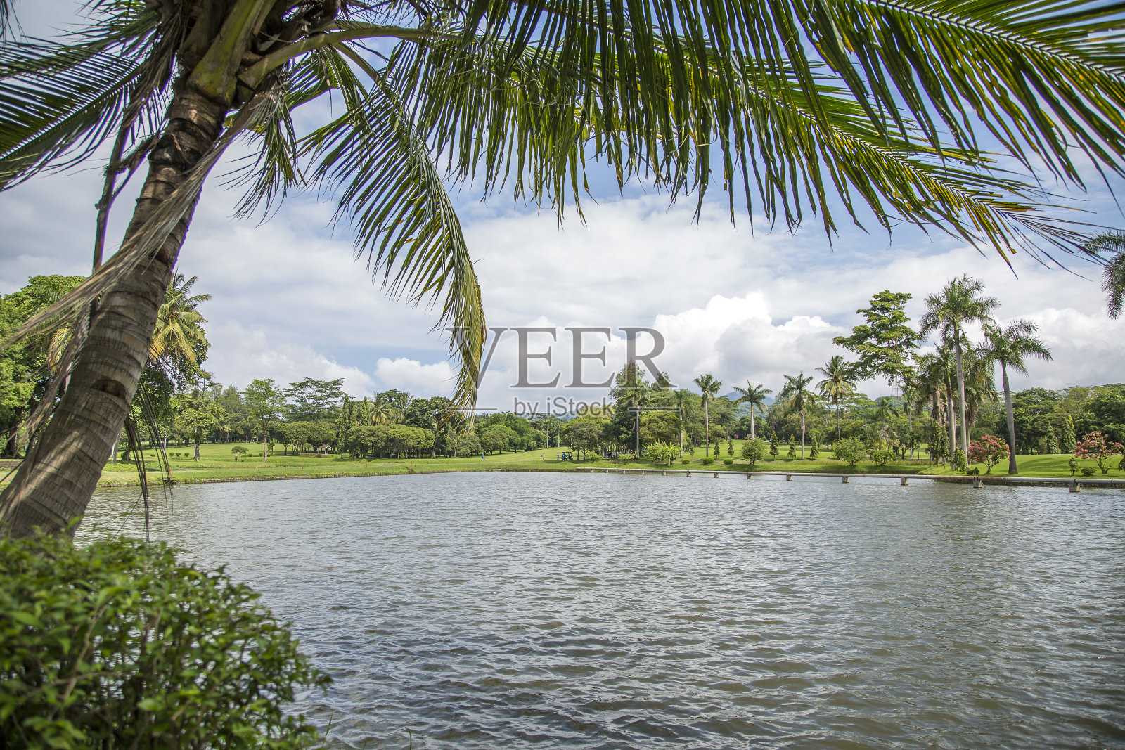 高尔夫球场照片摄影图片