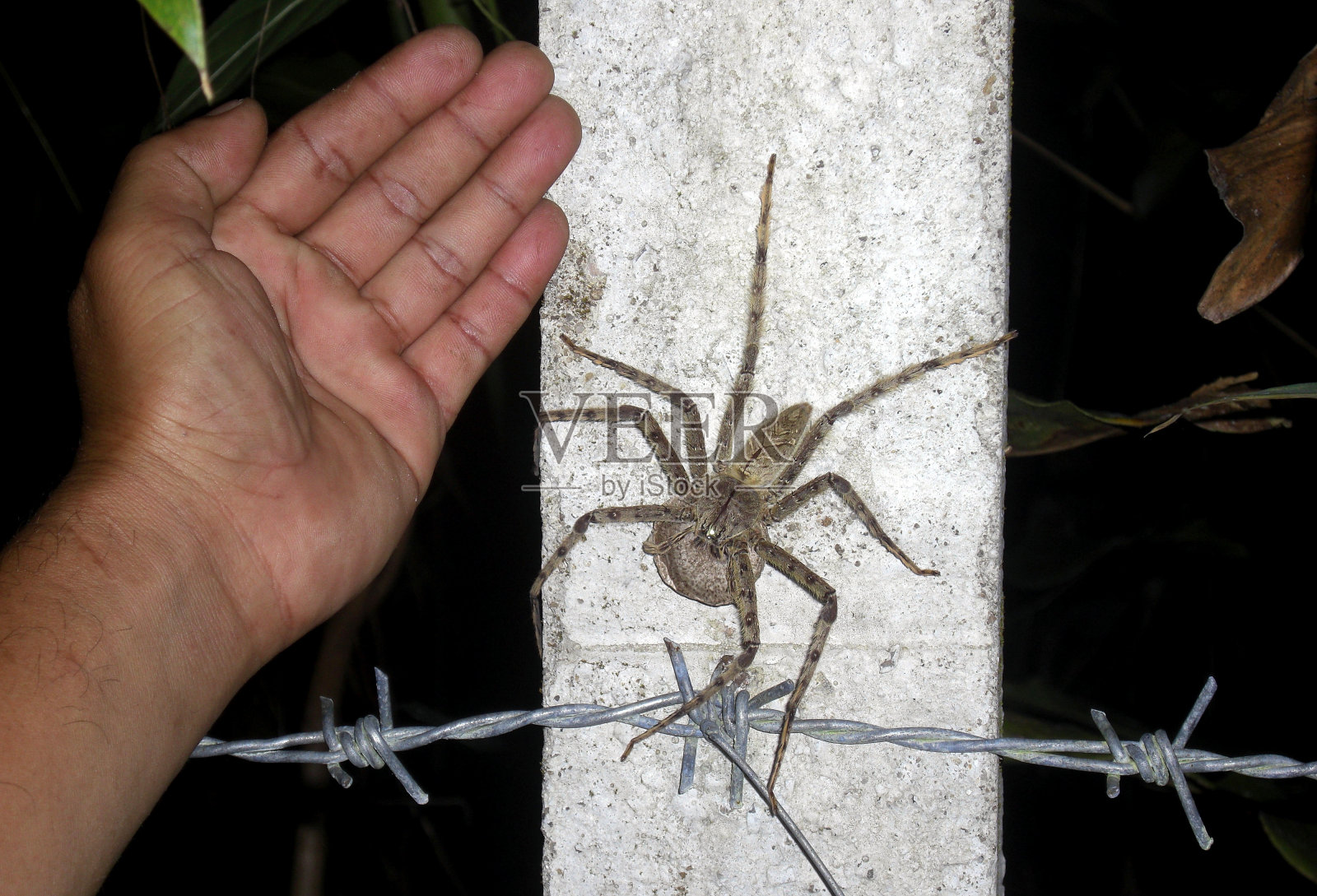 泰国农村的生活方式照片摄影图片