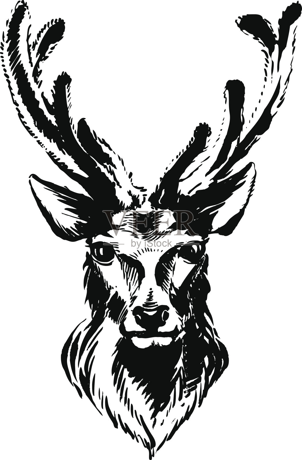 用记号笔手绘森林动物:鹿插画图片素材