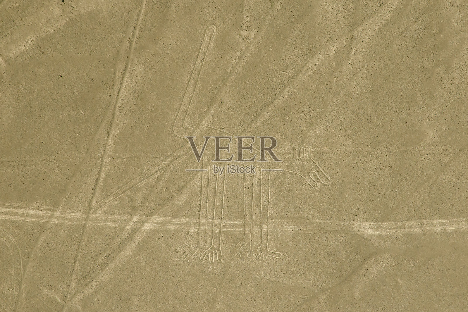 纳斯卡航线-秘鲁照片摄影图片