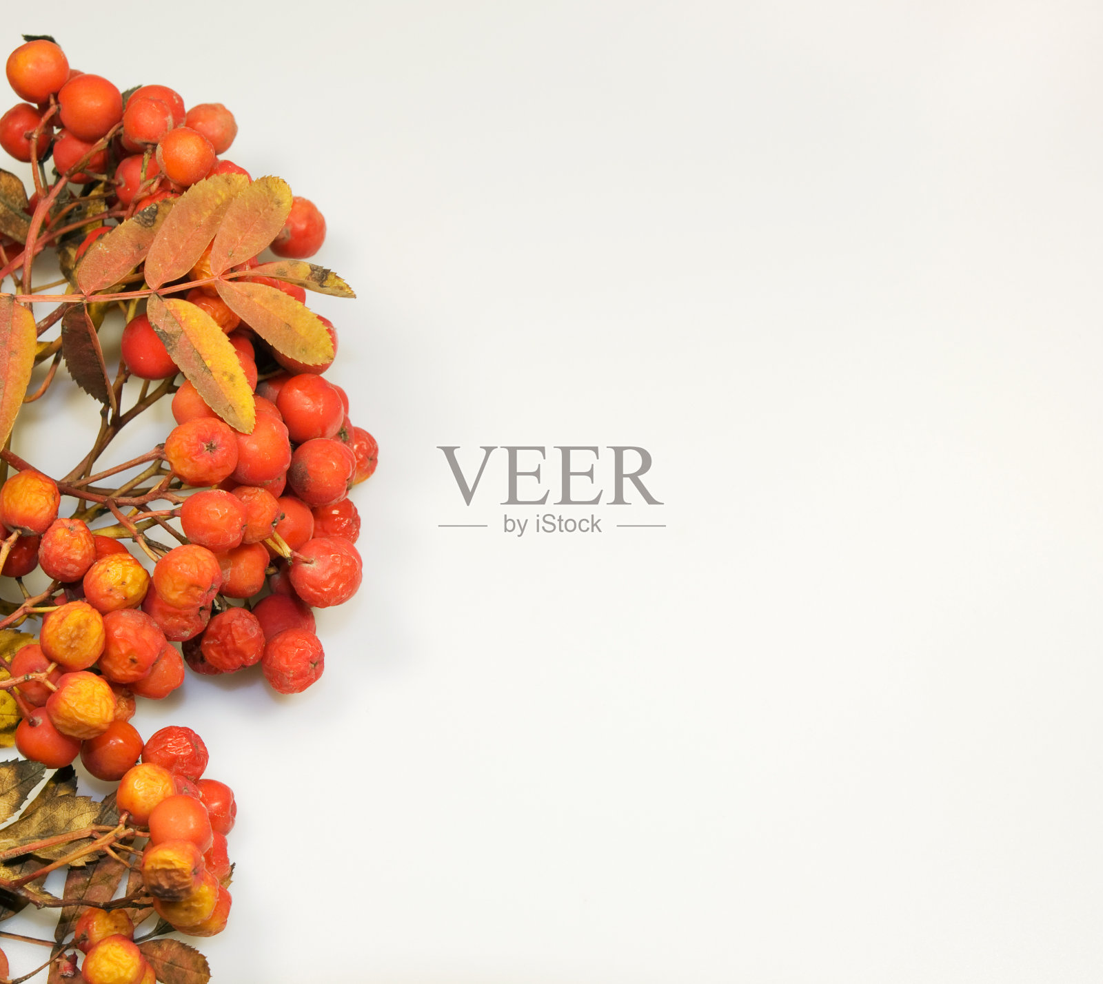 秋天背景照片摄影图片