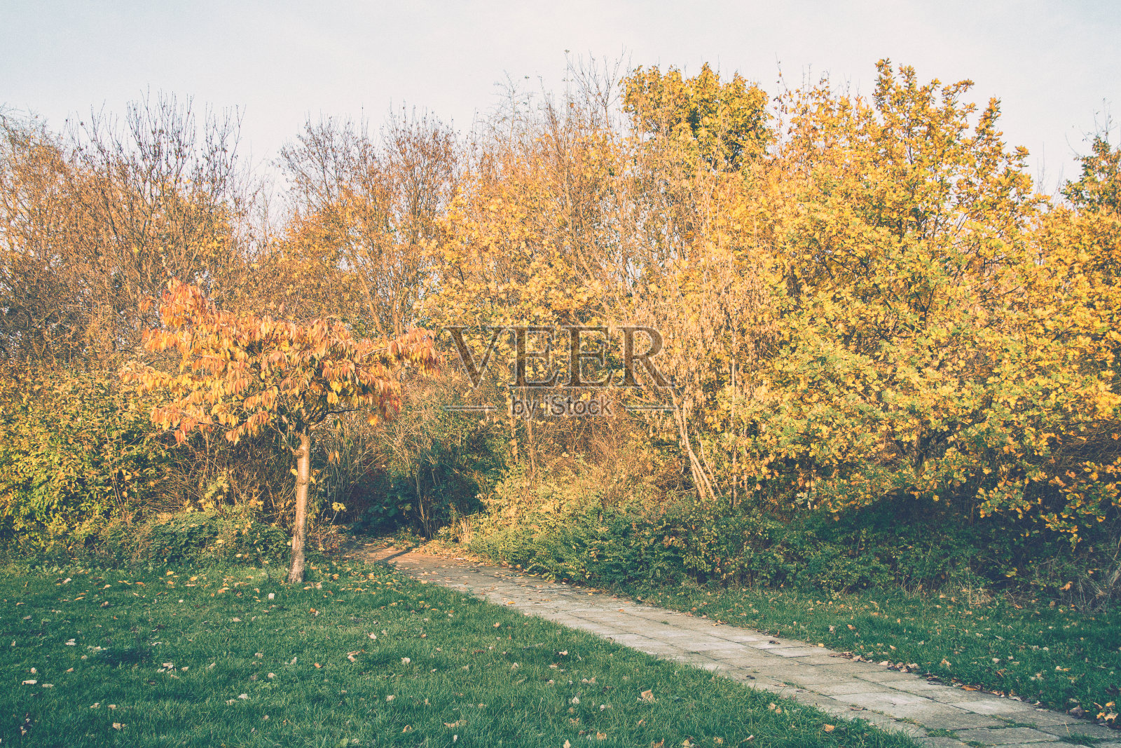 在柏林普伦茨劳贝格公园里照片摄影图片